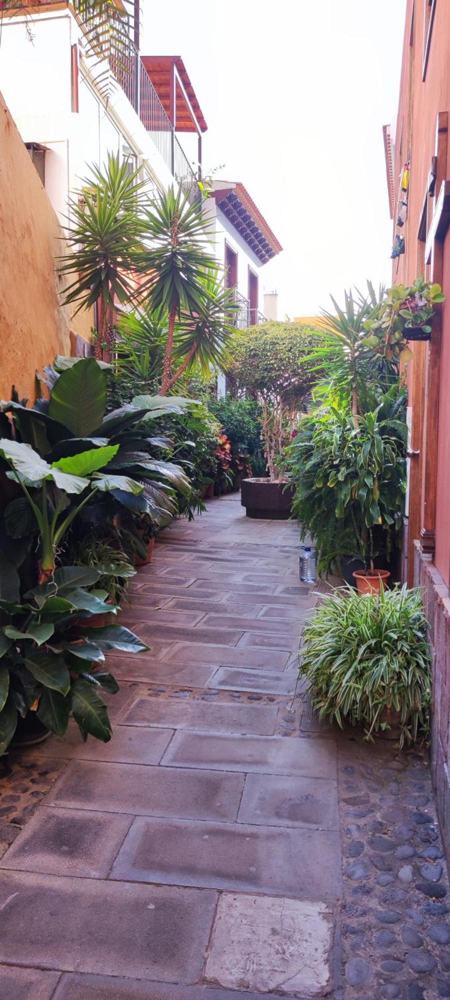 Ferienwohnung Teideplaya Puerto de la Cruz  Exterior foto